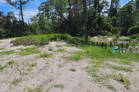Terrain à vendre à DeLand, Floride № 1834932 - photo 10