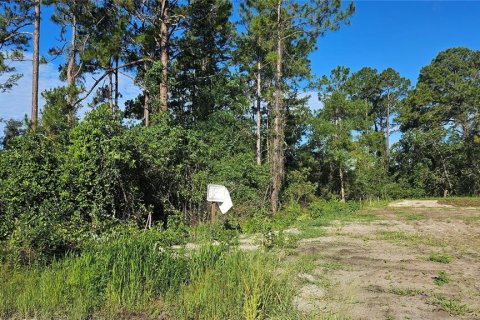 Terrain à vendre à DeLand, Floride № 1834932 - photo 5