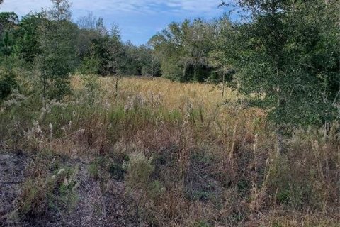 Land in Dunnellon, Florida № 1517317 - photo 1