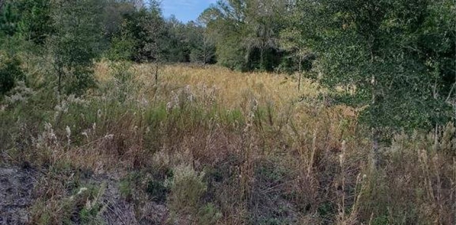 Land in Dunnellon, Florida № 1517317