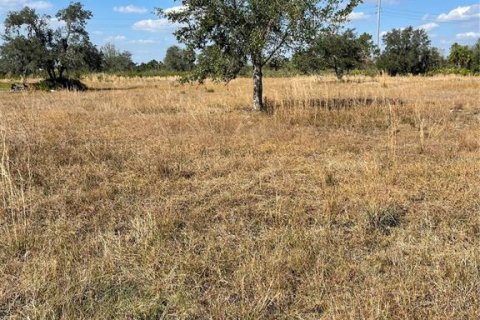 Terreno en venta en Lake Wales, Florida № 2147567 - foto 4