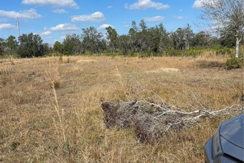 Terreno en venta en Lake Wales, Florida № 2147567 - foto 2