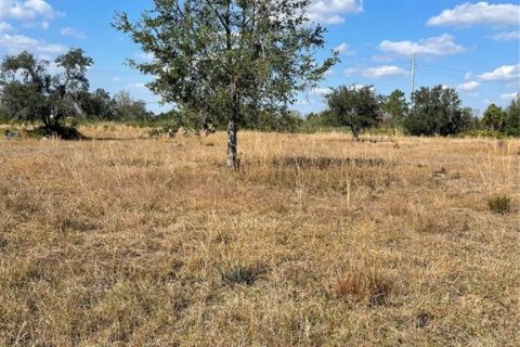 Terreno en Lake Wales, Florida № 2147567