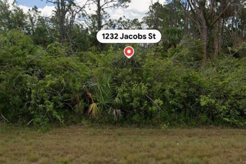 Land in Port Charlotte, Florida № 2159398 - photo 2