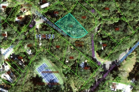 Terreno en venta en Lake Wales, Florida № 1675240 - foto 13