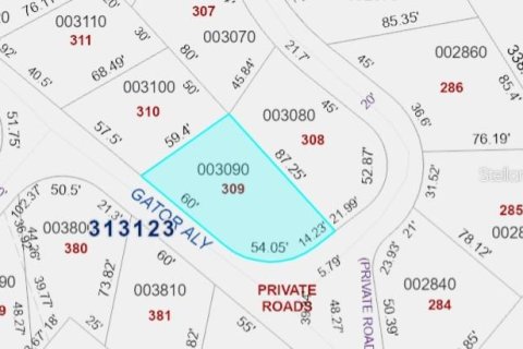 Terreno en venta en Lake Wales, Florida № 1675240 - foto 14