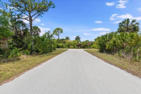 Land in Port Charlotte, Florida № 2213885 - photo 11