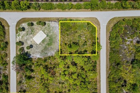 Land in Port Charlotte, Florida № 2213885 - photo 7