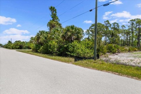 Land in Port Charlotte, Florida № 2213885 - photo 15
