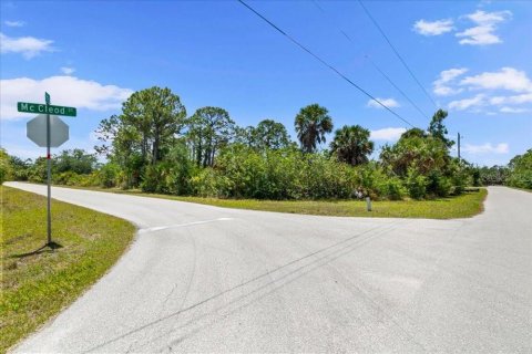 Land in Port Charlotte, Florida № 2213885 - photo 14