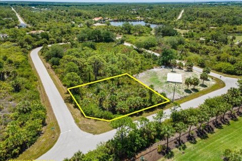 Land in Port Charlotte, Florida № 2213885 - photo 9