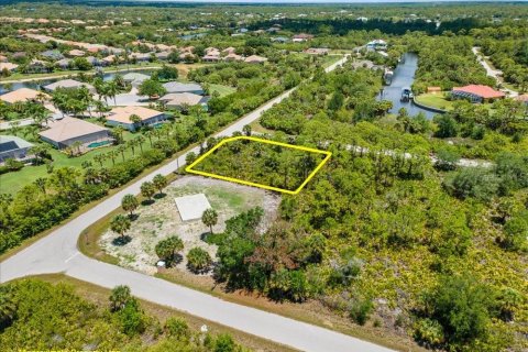 Land in Port Charlotte, Florida № 2213885 - photo 10