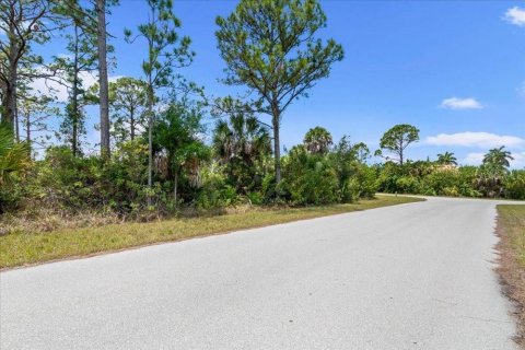 Land in Port Charlotte, Florida № 2213885 - photo 12