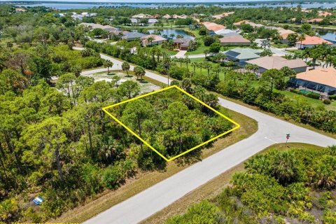Land in Port Charlotte, Florida № 2213885 - photo 8