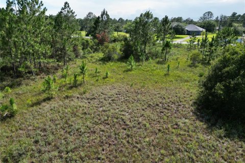 Terreno en venta en Orlando, Florida № 1803890 - foto 6