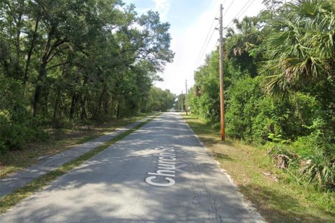 Land in Lake Helen, Florida № 1520159 - photo 8