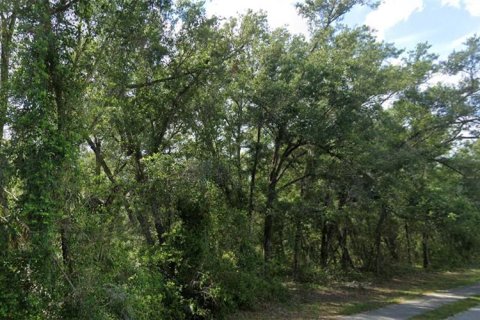 Land in Lake Helen, Florida № 1520159 - photo 6