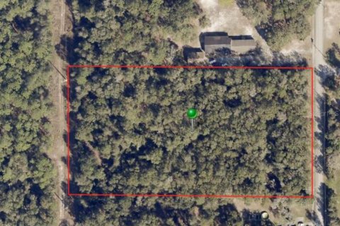 Land in Lake Helen, Florida № 1520159 - photo 2