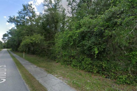 Land in Lake Helen, Florida № 1520159 - photo 7