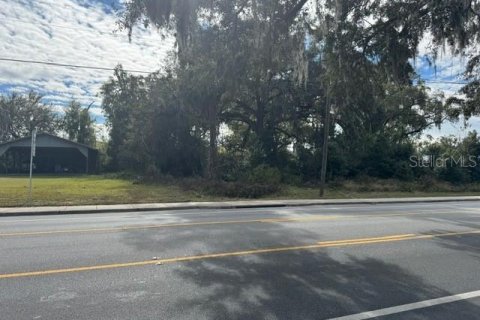 Land in Oxford, Florida № 1533841 - photo 8