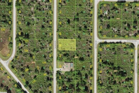 Land in Port Charlotte, Florida № 2162912 - photo 4