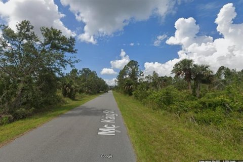 Land in Port Charlotte, Florida № 2162912 - photo 2