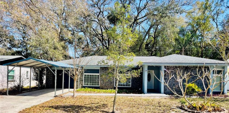 House in Tampa, Florida 3 bedrooms, 141.58 sq.m. № 2310032