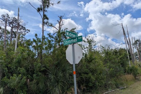 Land in Port Charlotte, Florida № 2166636 - photo 11