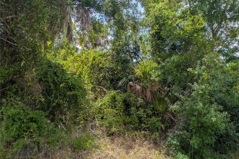 Land in Port Charlotte, Florida № 2166636 - photo 6