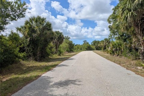 Land in Port Charlotte, Florida № 2166636 - photo 4