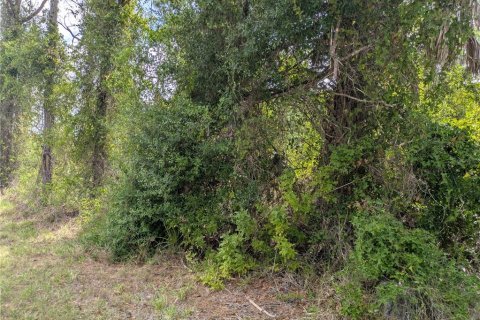 Land in Port Charlotte, Florida № 2166636 - photo 7