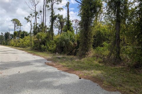Land in Port Charlotte, Florida № 2166636 - photo 2