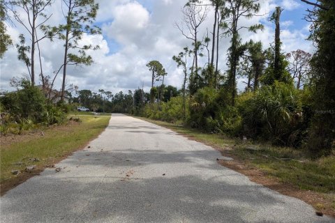 Land in Port Charlotte, Florida № 2166636 - photo 3