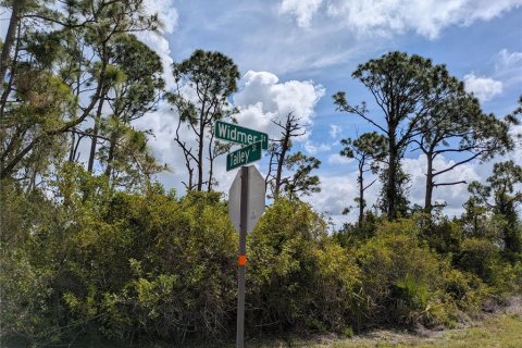 Land in Port Charlotte, Florida № 2166636 - photo 10