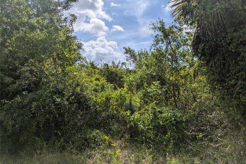 Land in Port Charlotte, Florida № 2166636 - photo 8