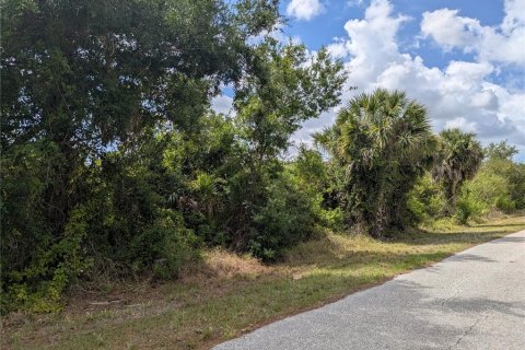 Land in Port Charlotte, Florida № 2166636