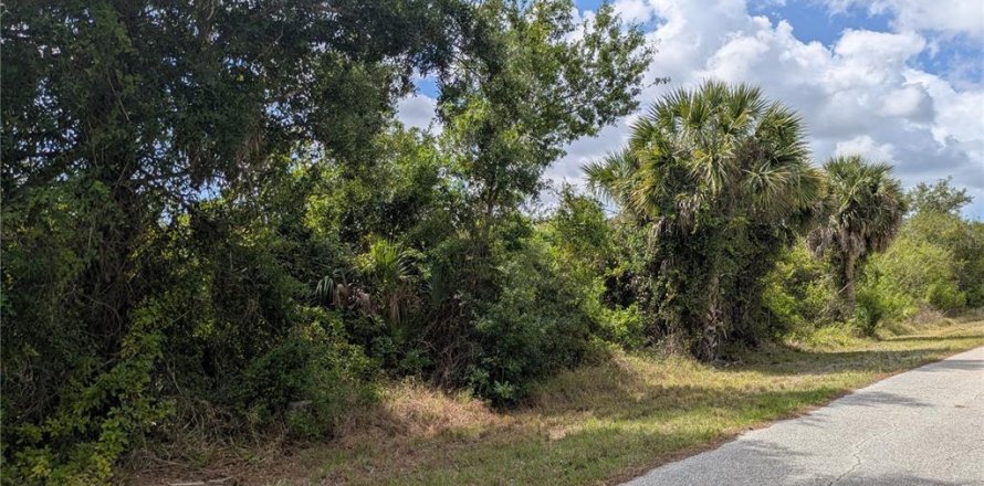 Land in Port Charlotte, Florida № 2166636