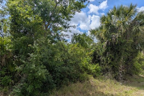 Land in Port Charlotte, Florida № 2166636 - photo 5