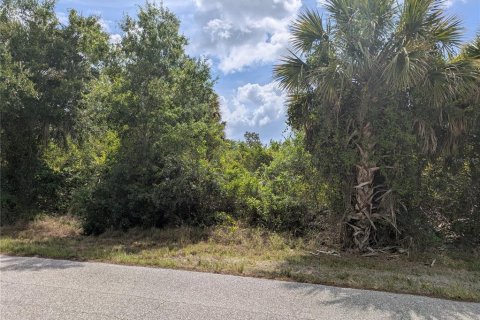 Land in Port Charlotte, Florida № 2166636 - photo 9