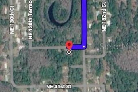 Купить земельный участок в Силвер-Спрингс-Шорс, Флорида № 2222149 - фото 2