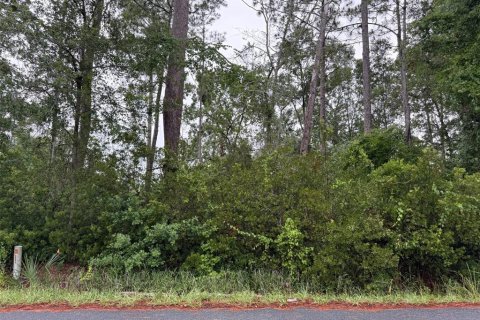 Land in Ocala, Florida № 2202037