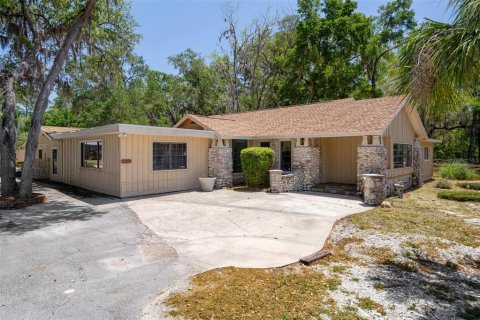 Commercial property in Lecanto, Florida 447.05 sq.m. № 1655617 - photo 6