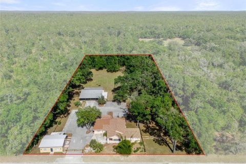 Commercial property in Lecanto, Florida 447.05 sq.m. № 1655617 - photo 1