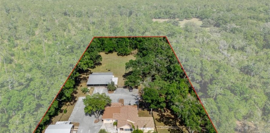Commercial property in Lecanto, Florida 447.05 sq.m. № 1655617