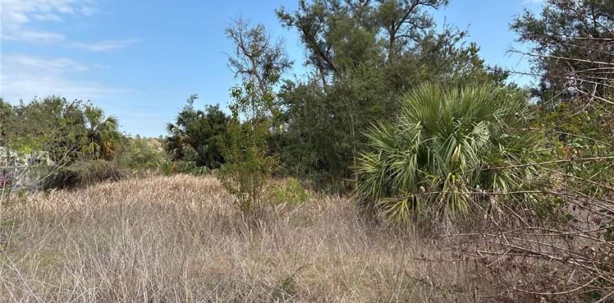 Immobilier commercial à Weeki Wachee, Floride № 1733073