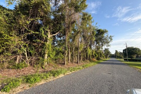 Land in Williston, Florida № 2196391