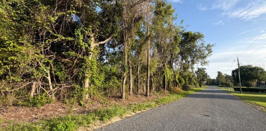Terrain à Williston, Floride № 2196391