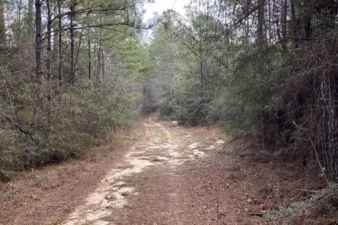 Land in Crestview, Florida № 558240 - photo 1