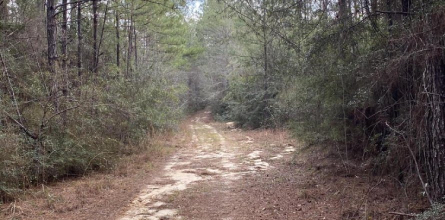 Land in Crestview, Florida № 558240