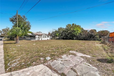 Land in Sanford, Florida № 2205916 - photo 3